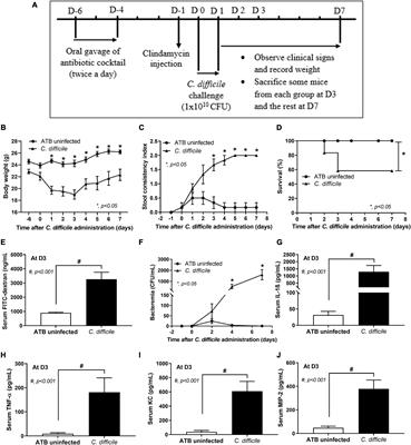 Lacticaseibacillus casei Strain T21 Attenuates Clostridioides difficile Infection in a Murine Model Through Reduction of Inflammation and Gut Dysbiosis With Decreased Toxin Lethality and Enhanced Mucin Production